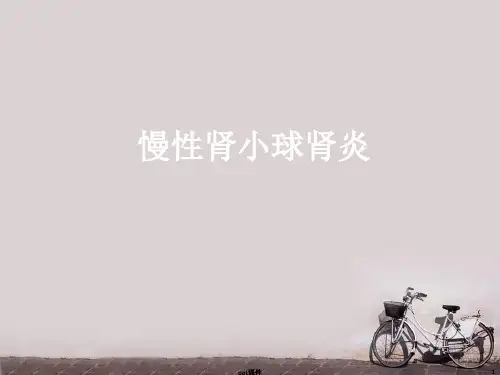 慢性肾小球肾炎  ppt课件