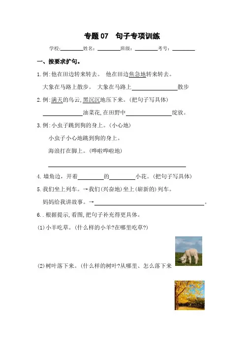 专题07 句子专项训练-二年级语文下册期末归类复习(部编版)