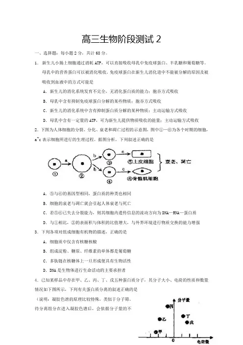2011届高考生物第一轮阶段测试试题