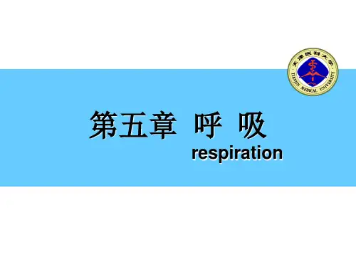 生理学呼吸系统 ppt课件