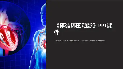 《体循环的动脉》课件