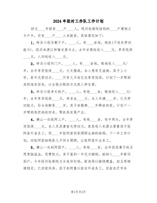 2024年驻村工作队工作计划(2篇)