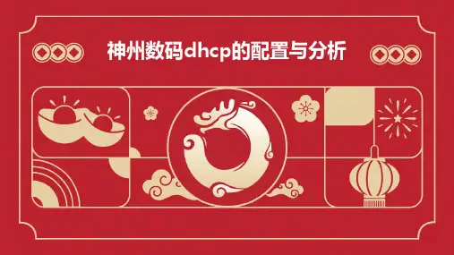 神州数码DHCP的配置与分析.dh