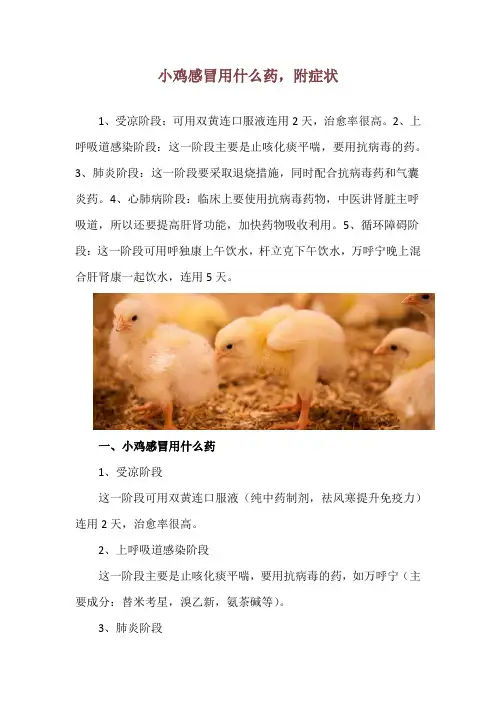 小鸡感冒用什么药,附症状