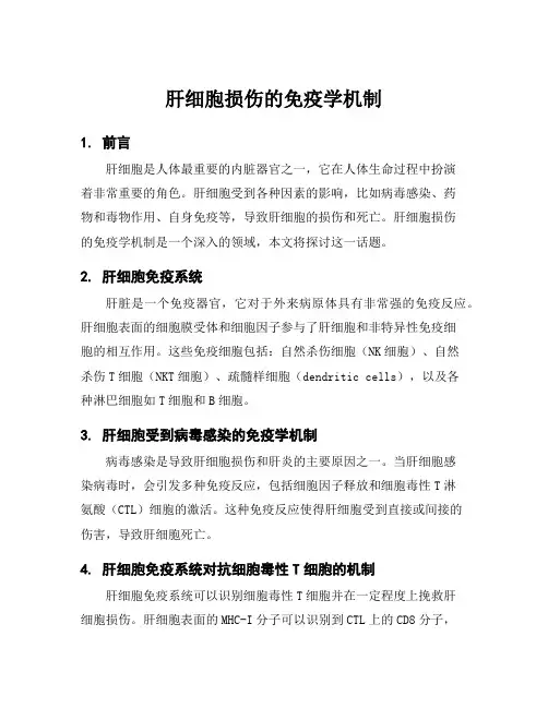 肝细胞损伤的免疫学机制