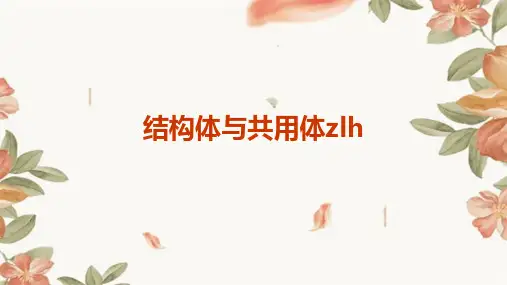 结构体与共用体zlh