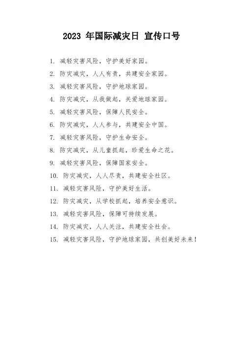 2023 年国际减灾日 宣传口号