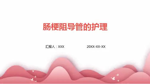 肠梗阻导管的护理