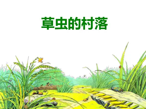 六年级上语文-草虫的村落PPT课件