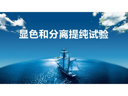 高分子材料分析与检测技术：显色和分离提纯试验