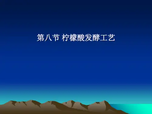 柠檬酸发酵工艺