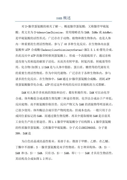 sam概述