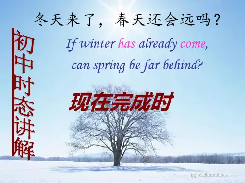 初中时态讲解《现在完成时》(共28张PPT)