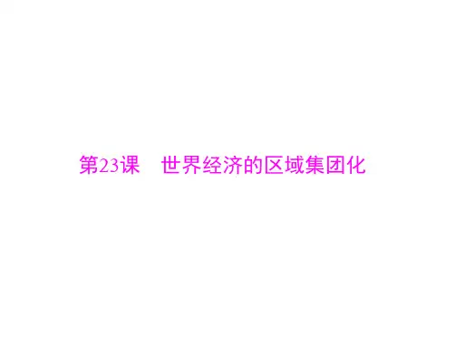 高中历史人教版必修二：第八单元 第23课 世界经济的区域集团化