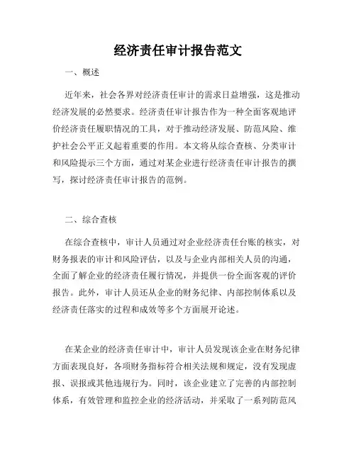 经济责任审计报告范文