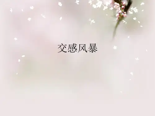 交感风暴ppt课件