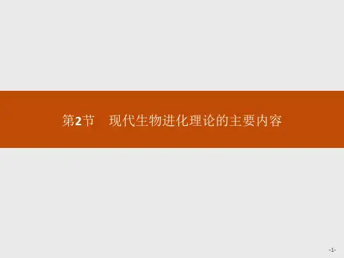 生物必修Ⅱ人教新课标7-2现代生物进化理论的主要内容课件(24张)