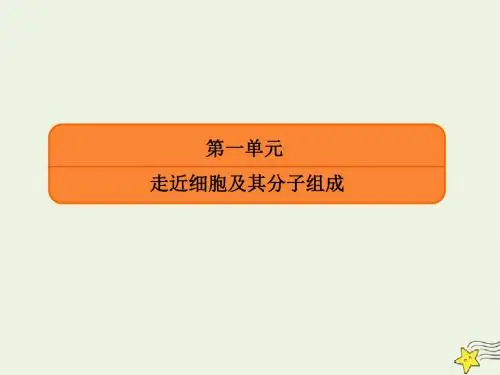 2020版高考生物一轮复习第一单元走近细胞及其分子组成第04讲核酸糖类和脂质课件新人教版