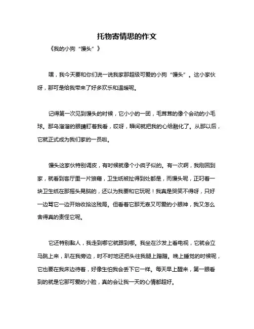 托物寄情思的作文