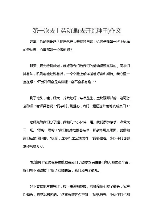 第一次去上劳动课(去开荒种田)作文