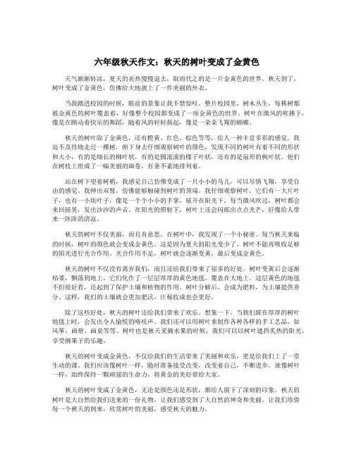 六年级秋天作文：秋天的树叶变成了金黄色
