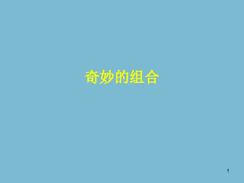 人民美术出版社北京科学研究院小学五年级美术上册奇妙的组合