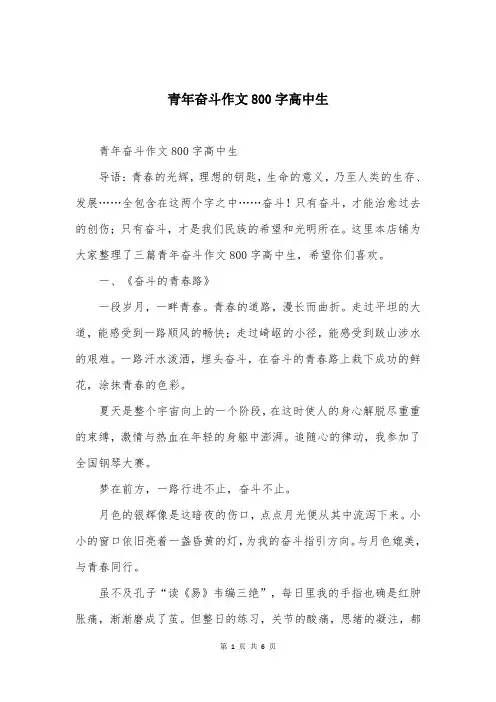 青年奋斗作文800字高中生