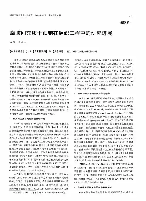 脂肪间充质干细胞在组织工程中的研究进展
