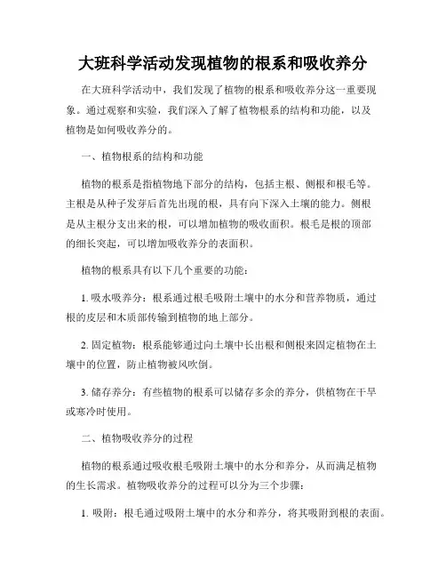 大班科学活动发现植物的根系和吸收养分