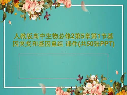 人教版高中生物必修2第5章第1节基因突变和基因重组 课件(共50张PPT)52页文档