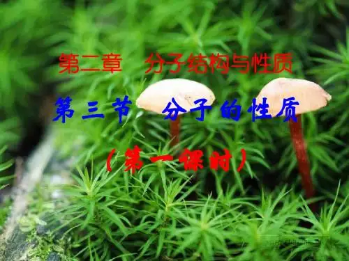 分子的性质课时1、2