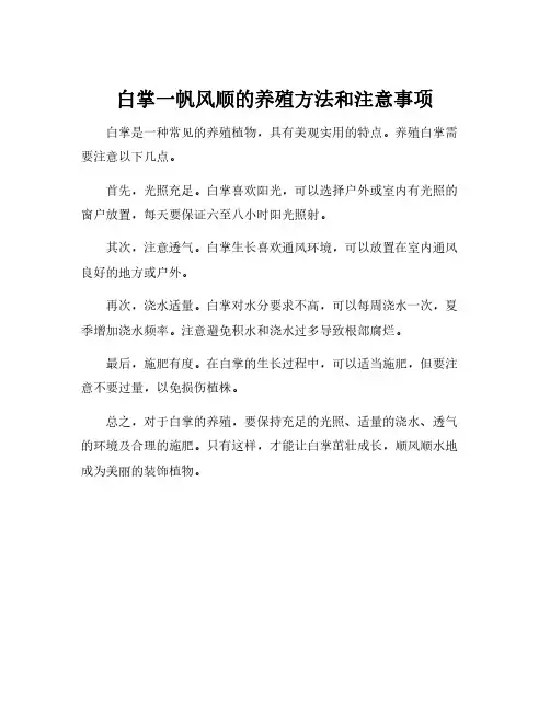 白掌一帆风顺的养殖方法和注意事项