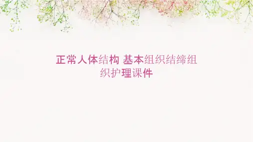 正常人体结构 基本组织结缔组织护理课件