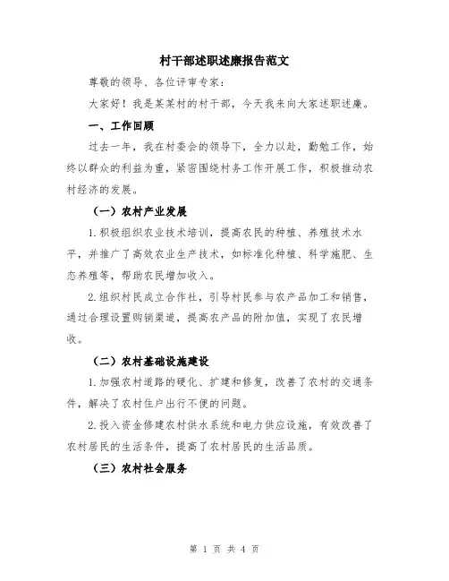 村干部述职述廉报告范文