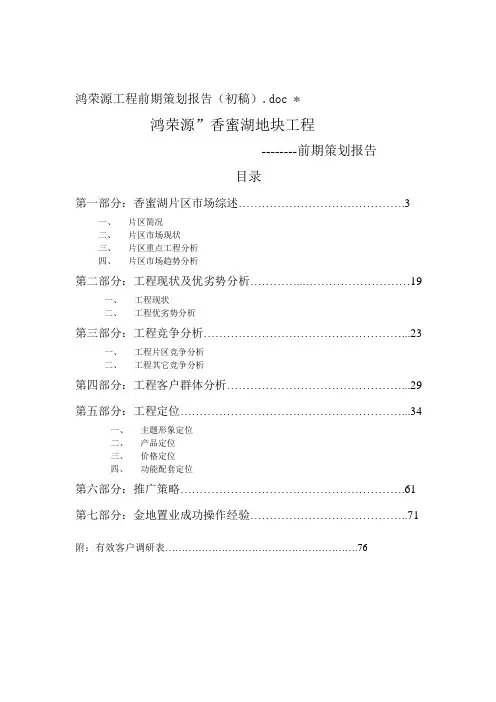 某项目前期策划报告