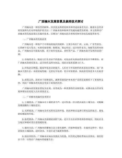 广西楠木发展前景及栽培技术探讨