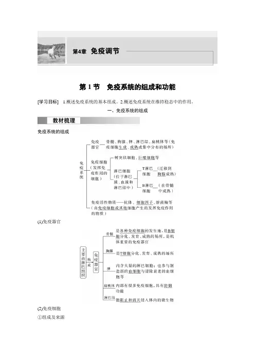 高中生物新教材选择性必修一 同步试卷讲义  第4章 第1节 免疫系统的组成和功能