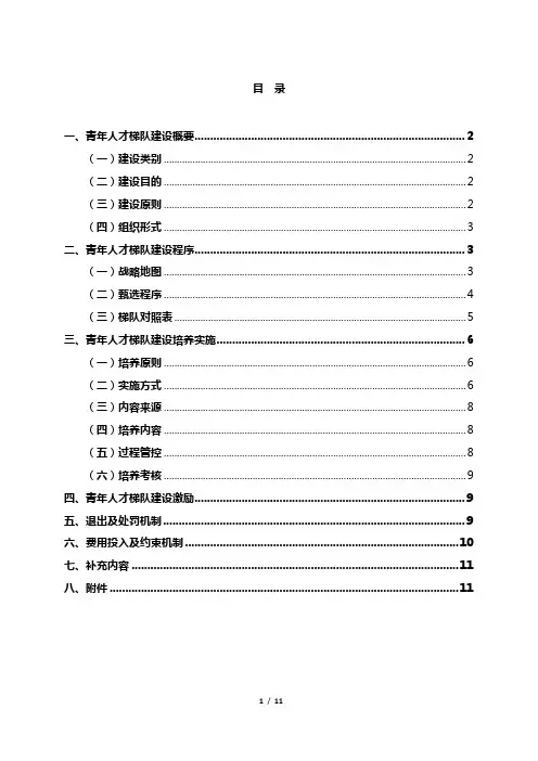 “雄鹰展翅”青年人才培养计划执行方案