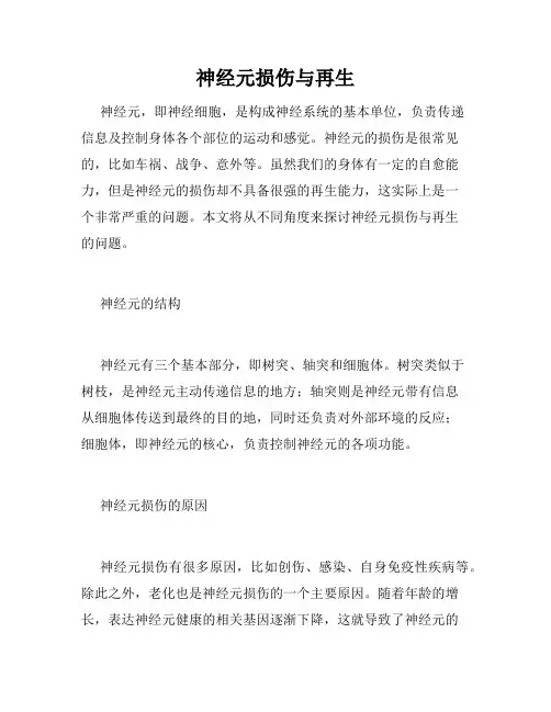 神经元损伤与再生