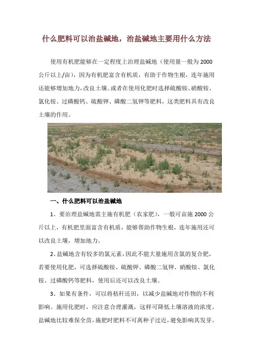 什么肥料可以治盐碱地,治盐碱地主要用什么方法