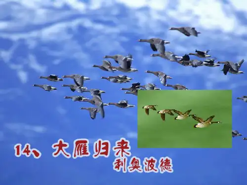 部编版八年级下册语文《大雁归来》PPT说课教学课件