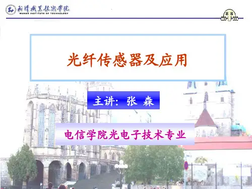 光纤二维位移OFS--PPT