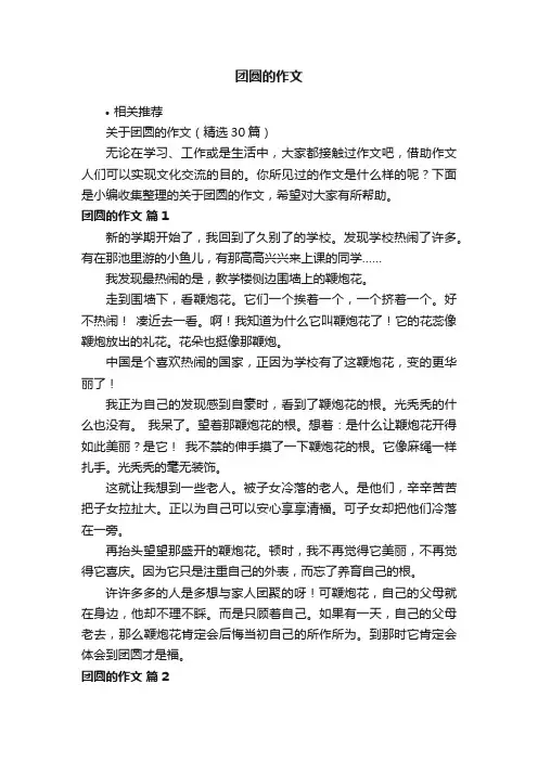 团圆的作文