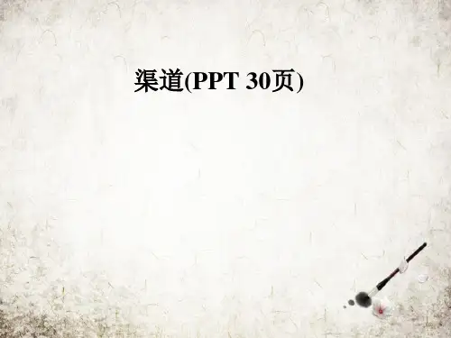 渠道(PPT 30页)