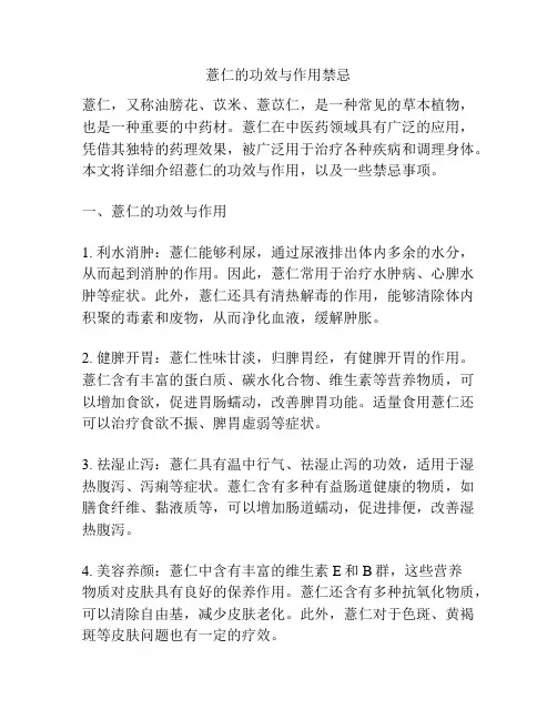 薏仁的功效与作用禁忌