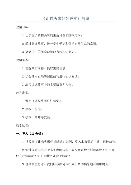 《让猫头鹰好好睡觉》教案