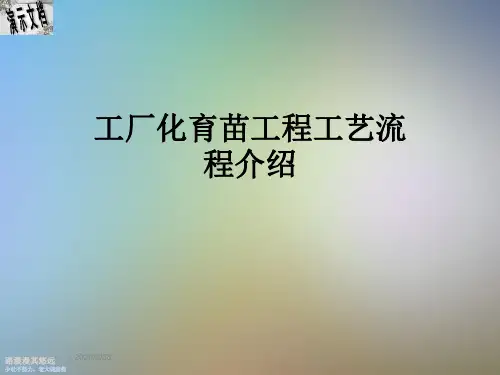 工厂化育苗工程工艺流程介绍