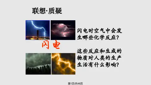 氮的循环完整PPT课件