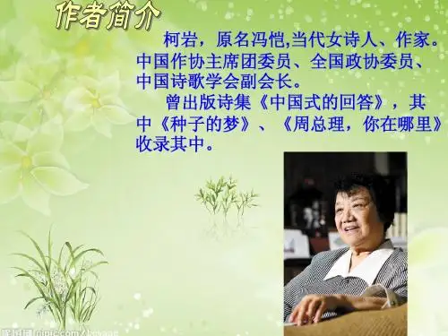 种子的梦ppt演示