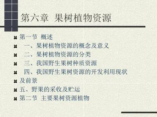 野生果树植物资源素材